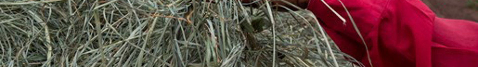 ZDTP Focus Farmers share best practice